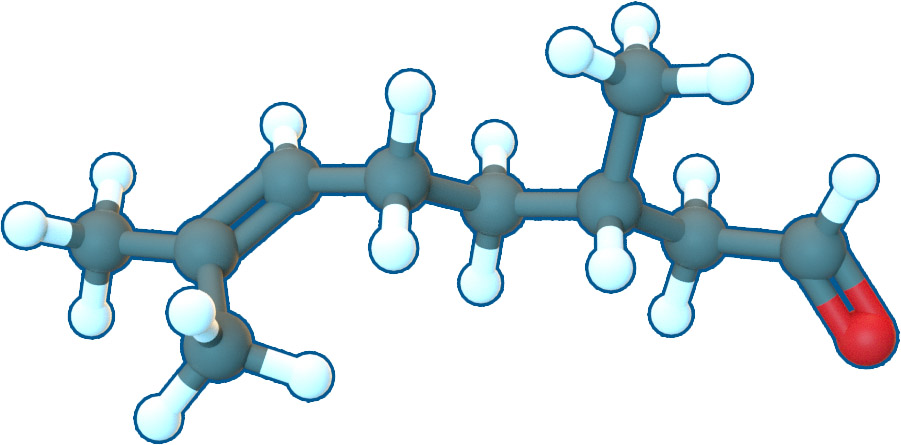 Image of Citronellal | C10H18O | Supreme Pharmatech